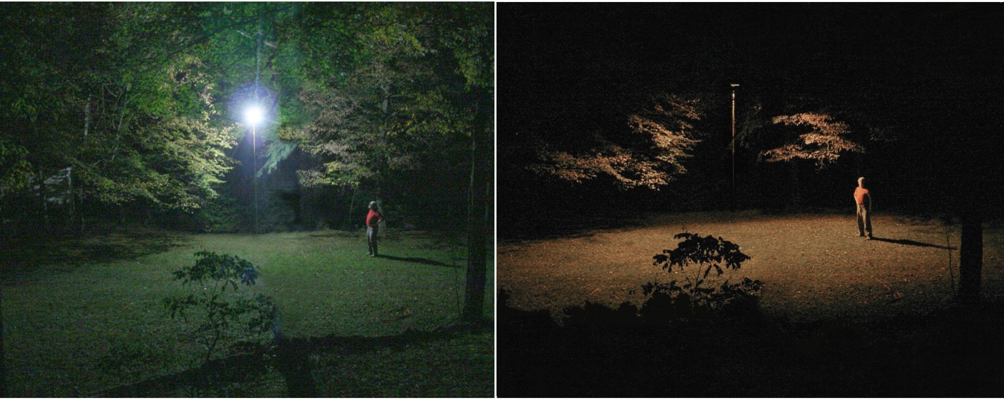 CSbG / CFL Comparison